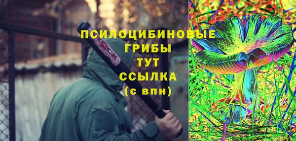 прущие грибы Гусиноозёрск