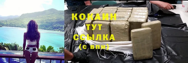скорость Гусев