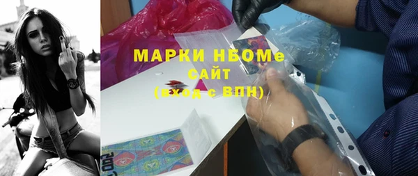 прущие грибы Гусиноозёрск