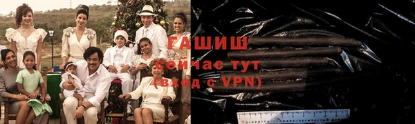 прущие грибы Гусиноозёрск