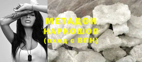 прущие грибы Гусиноозёрск