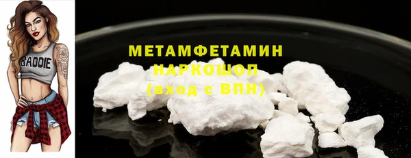 прущие грибы Гусиноозёрск