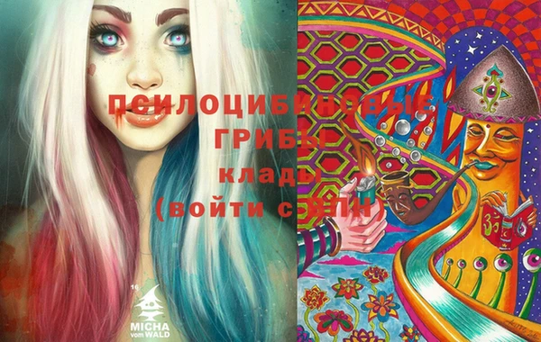 прущие грибы Гусиноозёрск