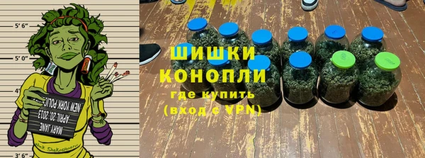 прущие грибы Гусиноозёрск