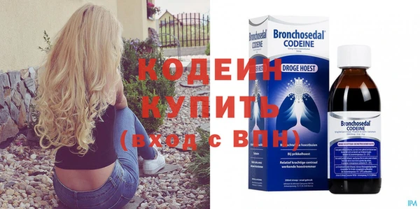 прущие грибы Гусиноозёрск