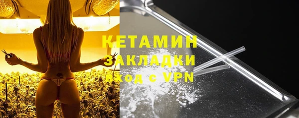 прущие грибы Гусиноозёрск