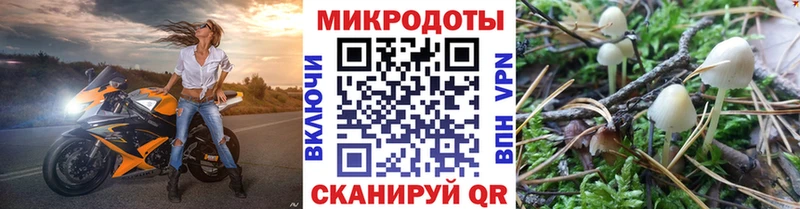 Псилоцибиновые грибы Cubensis Гаврилов-Ям
